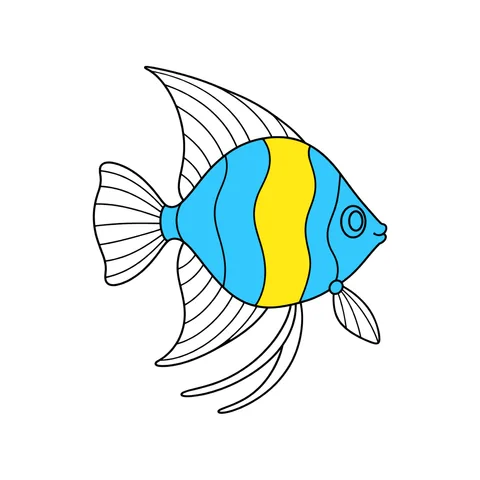 Angelfish drawing, half colored
