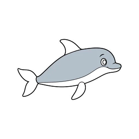 Dolphin drawing, half colored