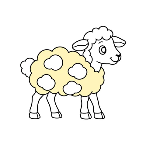 Sheep drawing, half colored