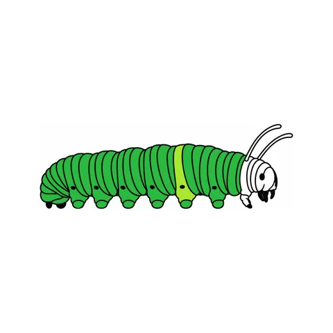 Caterpillar drawing, half colored