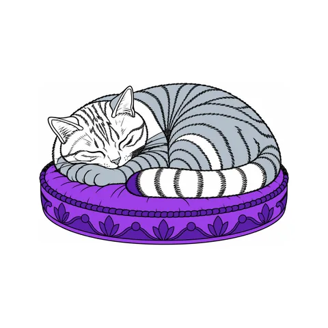 Sleeping cat drawing, half colored