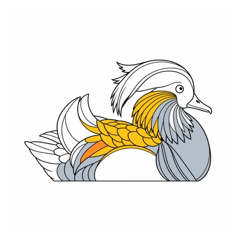 Mandarin duck drawing, half colored