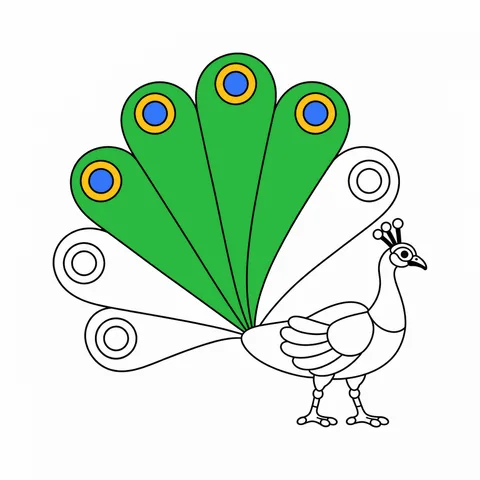 Peacock drawing, half colored