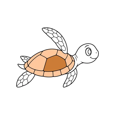 Sea turtle drawing, half colored