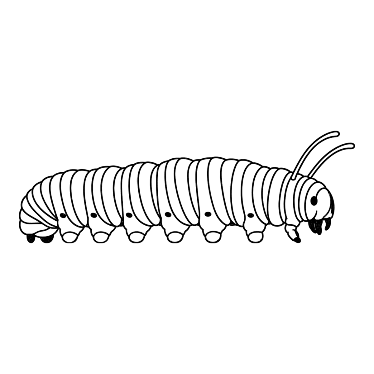 Caterpillar coloring page: a plump caterpillar with two long feelers, ready to color