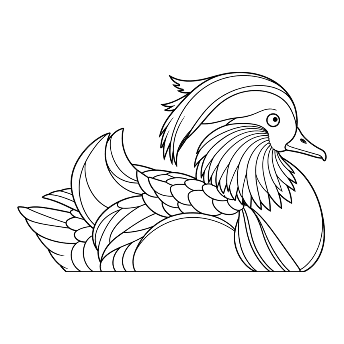 Mandarin duck coloring page: a mandarin duck floating on the water, ready to color