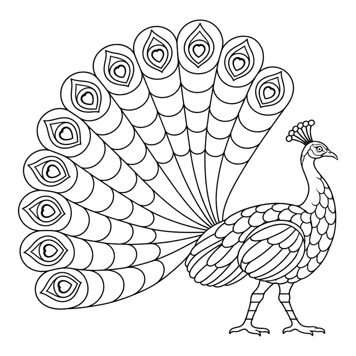 Peacock coloring page: a peacock walking with its long train behind it, ready to color
